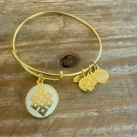 Alex and Ani Endless Knot Energy Bracelet - Picture 2 of 3